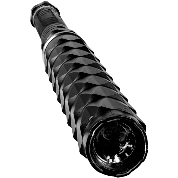 "Bouncer" Stun Gun & Flashlight